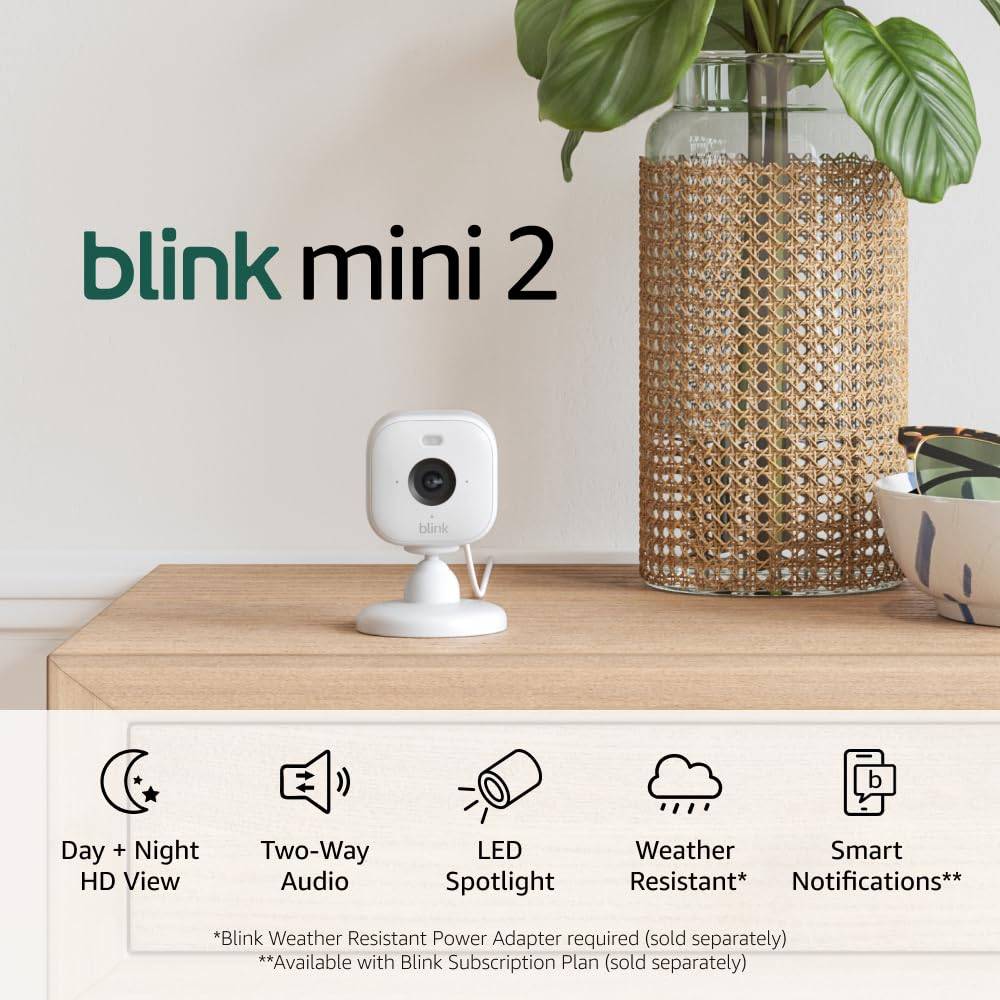 Blink Mini 2 (самая новая модель)