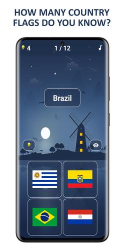 Flags Quiz: Guess The Flag应用截图第0张
