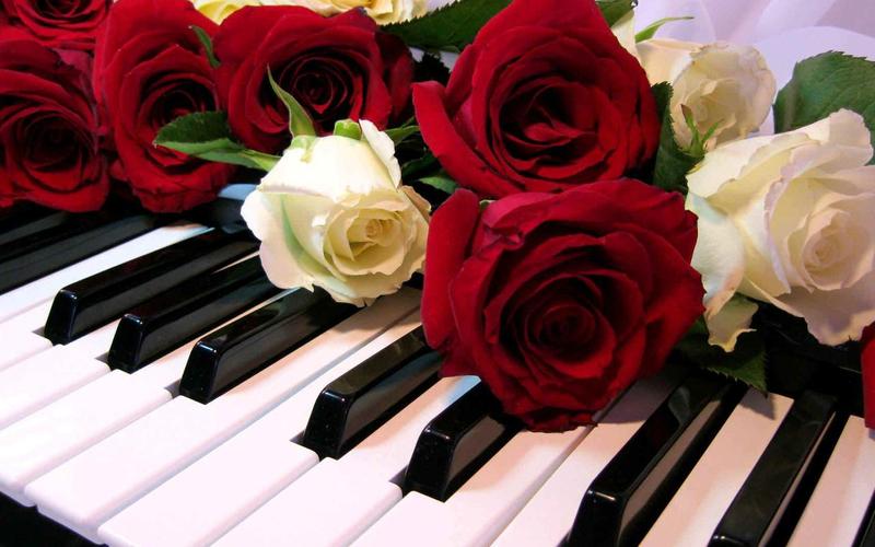 Roses Jigsaw Puzzles 스크린샷 0