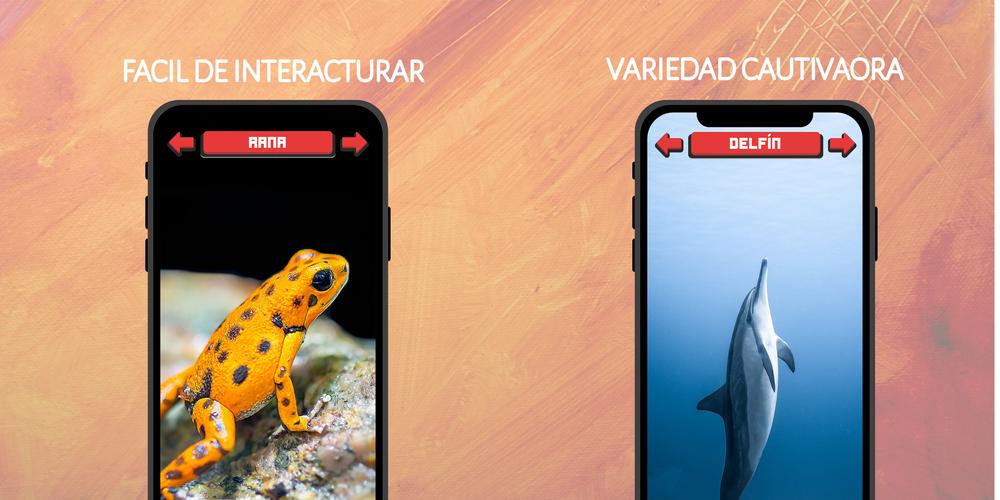 Animales: Sonidos e Imágenes スクリーンショット 3