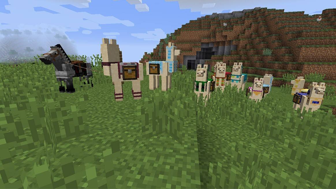 Llamas with Chests