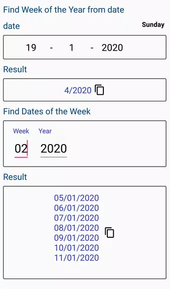Age Calculator Capture d'écran 2