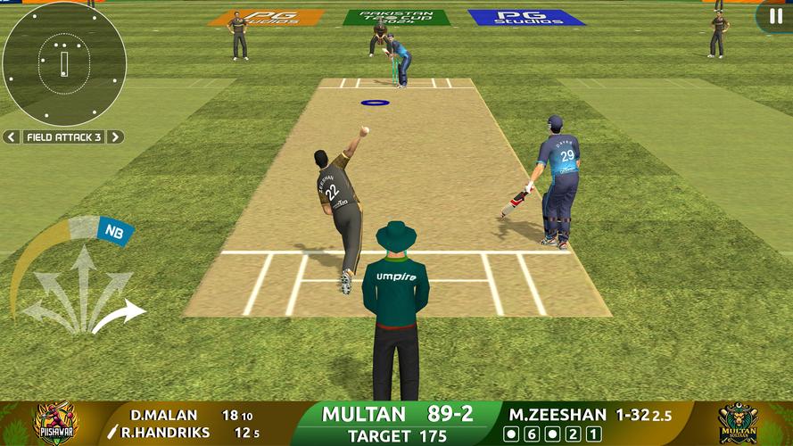 Cricket Game: Pakistan T20 Cup 스크린샷 1