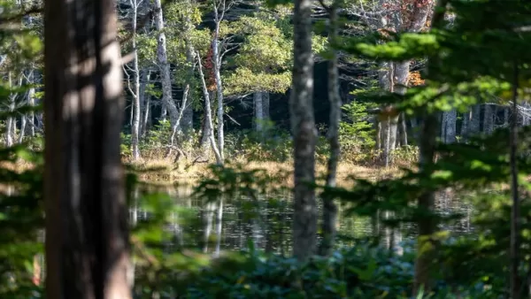 Yotei ၏သရဲတစ်ဆေသည် Hokkaido ကိုအန္တရာယ်နှင့်အလှအပအတွက်ဖြစ်သည်