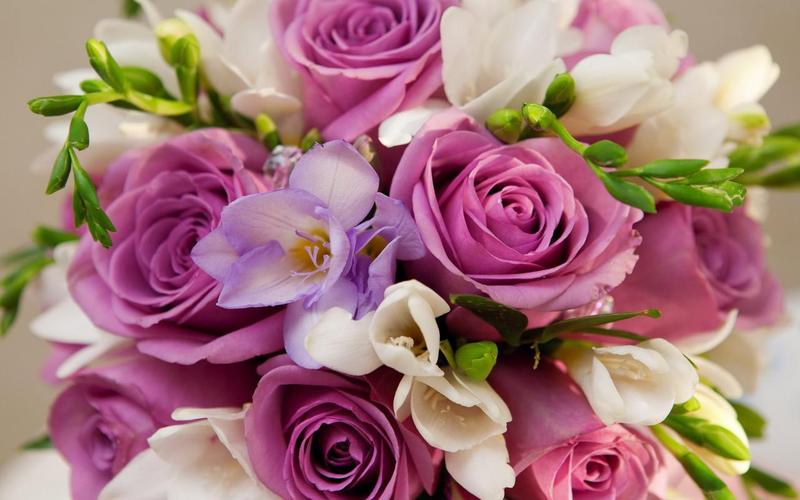 Roses Jigsaw Puzzles 스크린샷 1