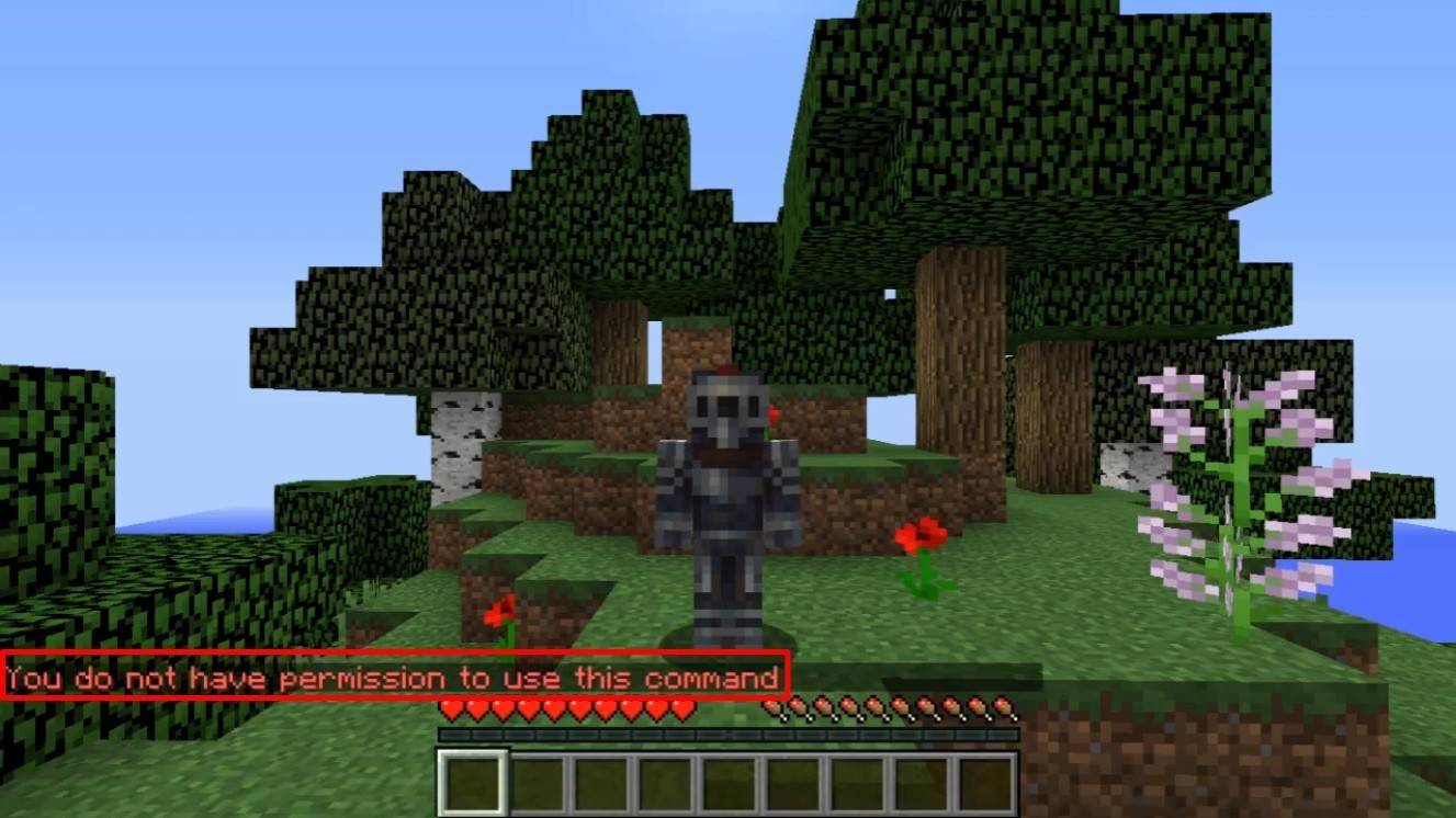 Minecraft ışınlanma hatası