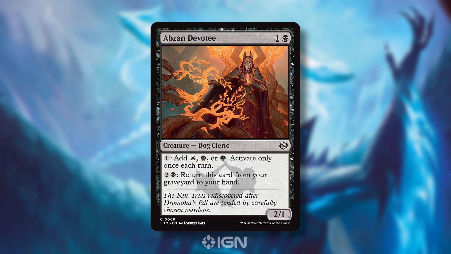 魔術:聚會 - 塔基爾(Tarkir)的5張新卡:Dragonstorm
