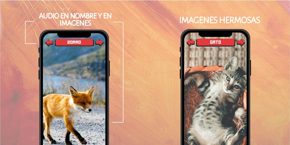Animales: Sonidos e Imágenes スクリーンショット 2