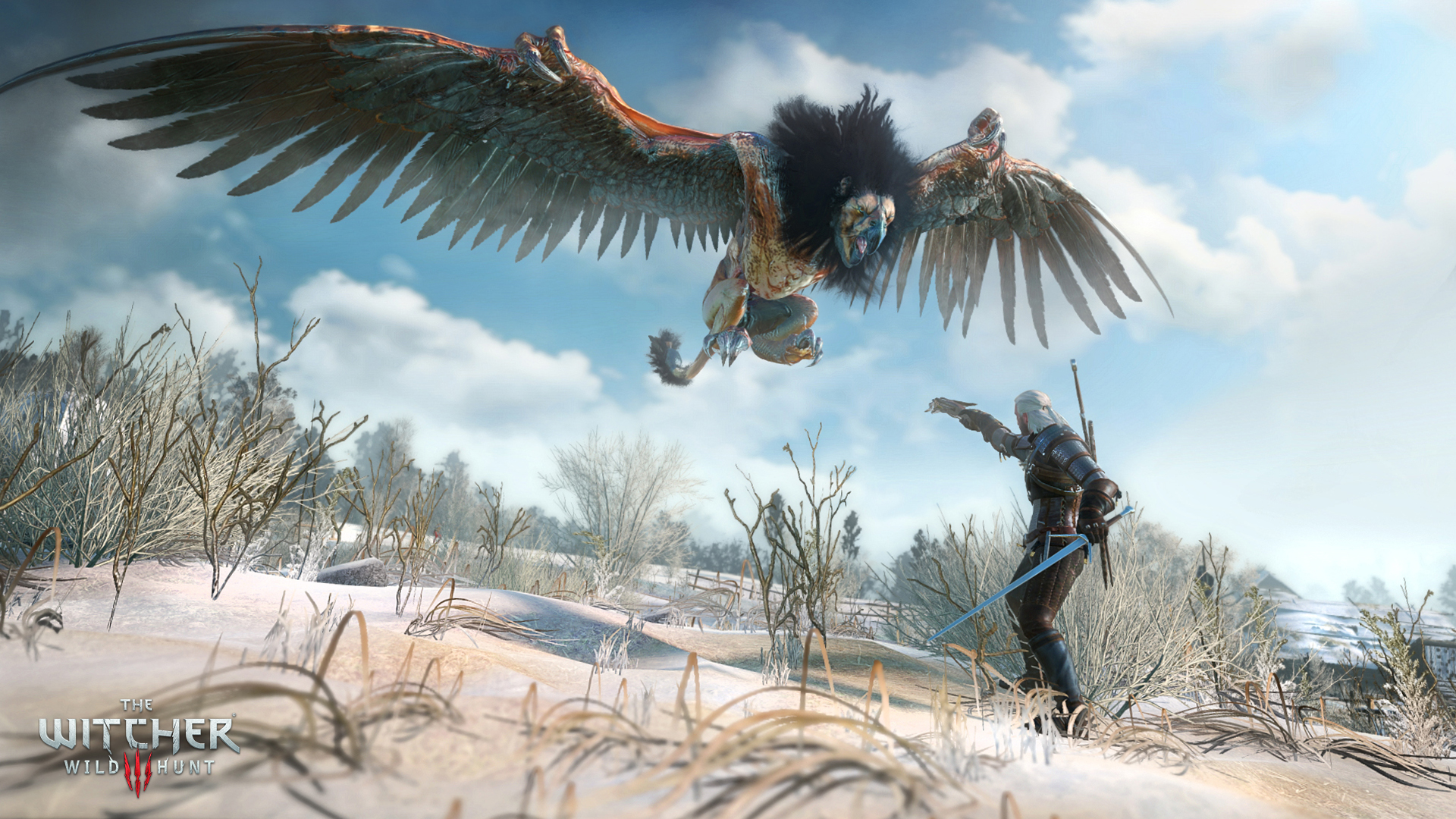 Ang Witcher 3