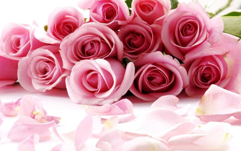 Roses Jigsaw Puzzles 스크린샷 2