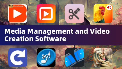 Media Management and Video Creation Software